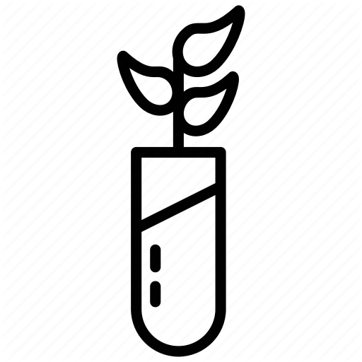 512x512 Botanical, Life Sciences, Plant, Plant Growth, Science Practical