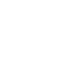256x256 White Light Bulb Icon
