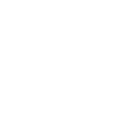 256x256 White Light Bulb Icon
