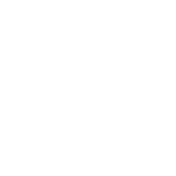 256x256 White Lightbulb Icon