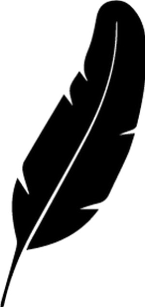 300x633 Lightweight Icon