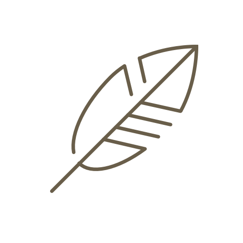 500x500 Lightweight Icon