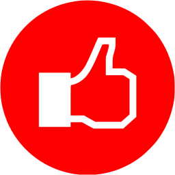 256x256 Red Facebook Like Icon