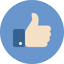 256x256 Like Flat Icon Png