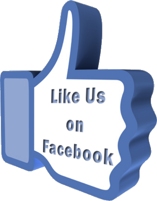 313x400 Like Us On Facebook Png Logo