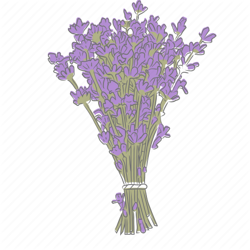 512x512 Floral, Flower, Lavender, Plant, Wellness Icon