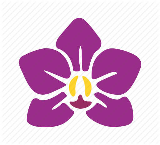 512x464 Flower, Nature, One, Orchid, Purple, Violet Icon