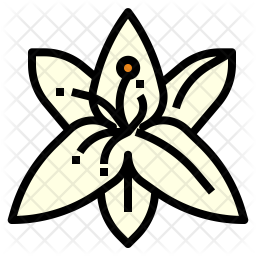 256x256 Lily Flower Icon Of Colored Outline Style
