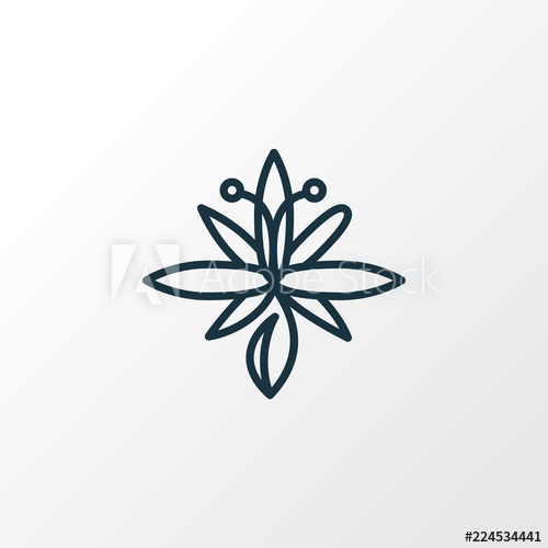 500x500 Lily Icon Line Symbol Premium Quality Isolated Bloom Element