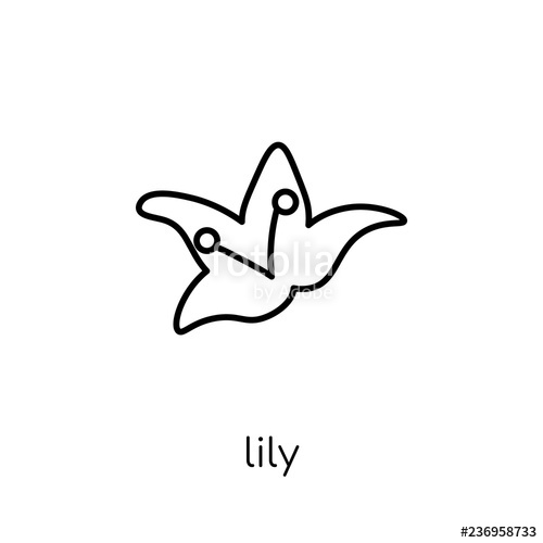 500x500 Lily Icon Trendy Modern Flat Linear Vector Lily Icon On White
