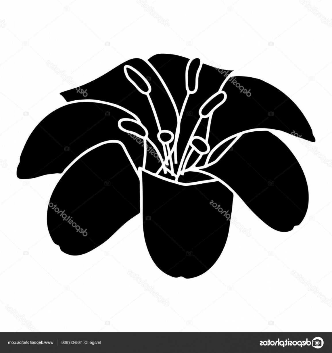 1155x1228 Stock Illustration Lily Flower Icon Simple Black Soidergi