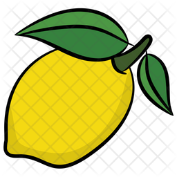 256x256 Lime Icon Of Doodle Style