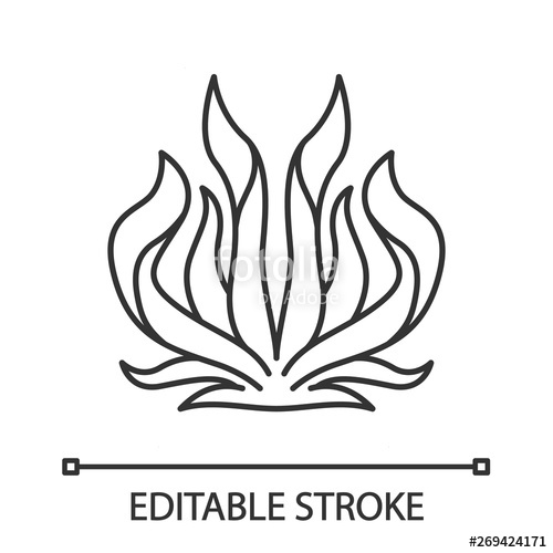 500x500 Century Plant Linear Icon Stock Image And Royalty Free Vector