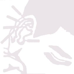 252x252 Icon Linen National Acupuncture Detoxification Assocation