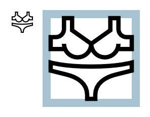 296x232 Lingerie Icon Issue
