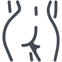 256x256 Lingerie Icons