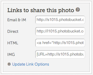 How To Add Social Media Icons Blog Buttons To Your Website 307x247 How To Add Social Media Icons Blog Buttons To Your Website