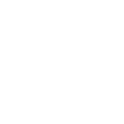 256x256 White Link Icon