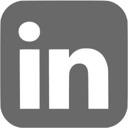256x256 Dim Gray Linkedin Icon