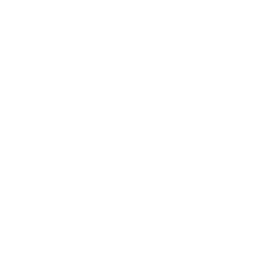 256x256 Free White Linkedin Icon