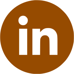 256x256 Brown Linkedin Icon