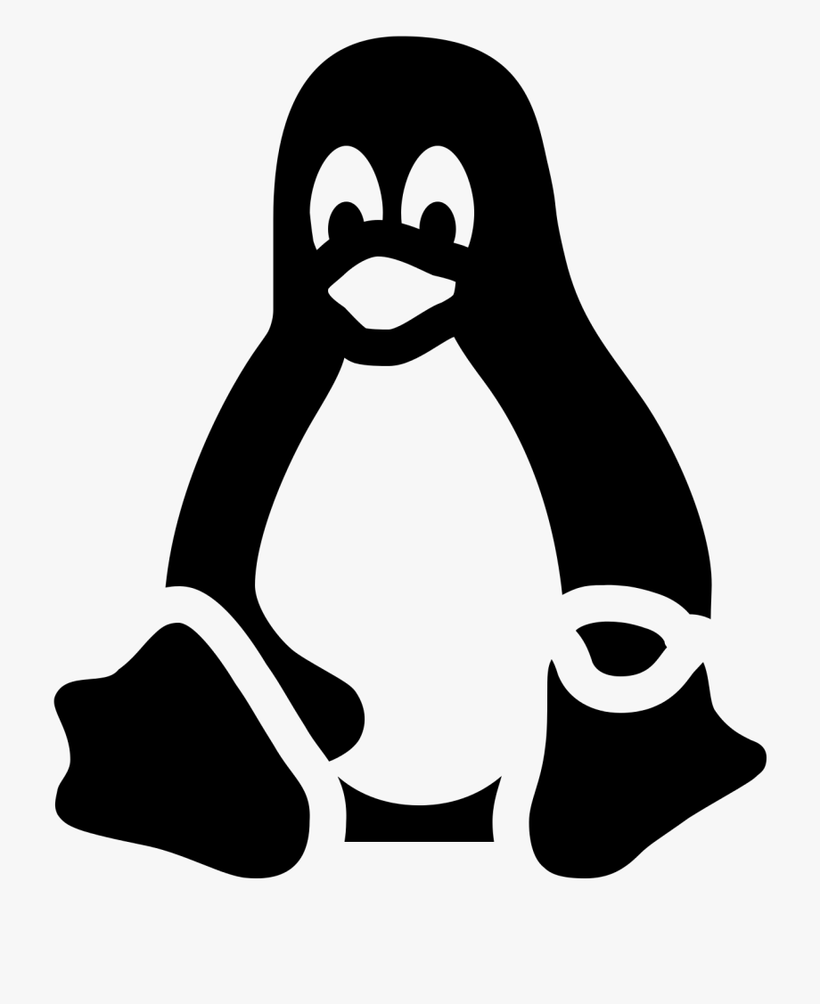 920x1127 New Images Penguin Clipart Black And White