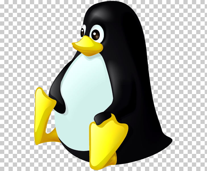 728x600 Tux Linux Computer Icons, Linux Png Clipart Free Cliparts Uihere