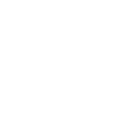 256x256 White Lion Icon