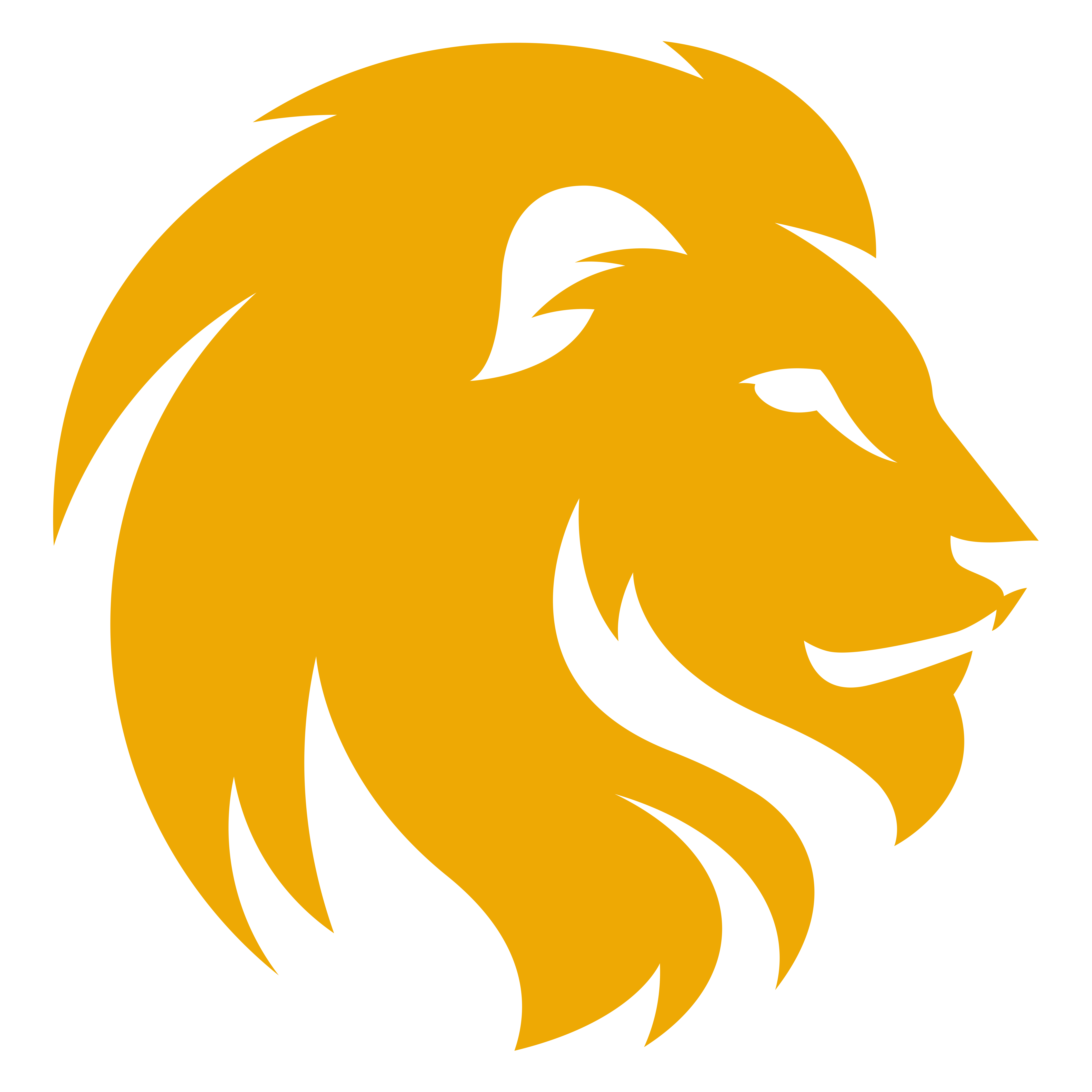 5346x5346 Yellow Lion Head Png