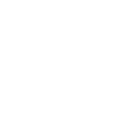 250x280 Logo Icon Large