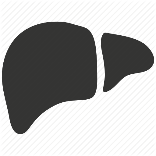 512x512 Hepatic, Hepatology, Human, Liver Icon
