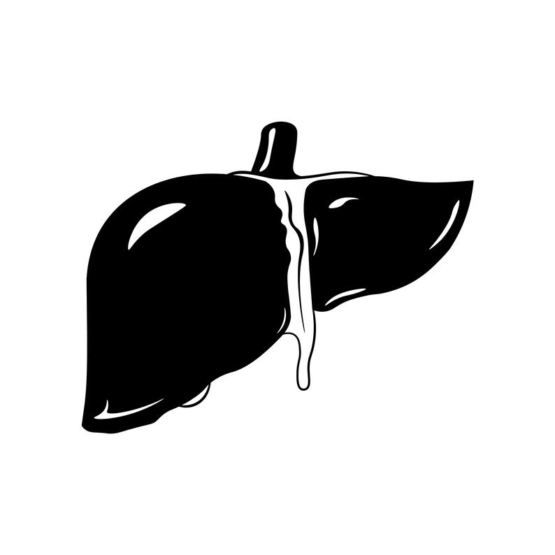 794x794 Human Liver Icon Organ Anatomy Medicine Biology Etsy