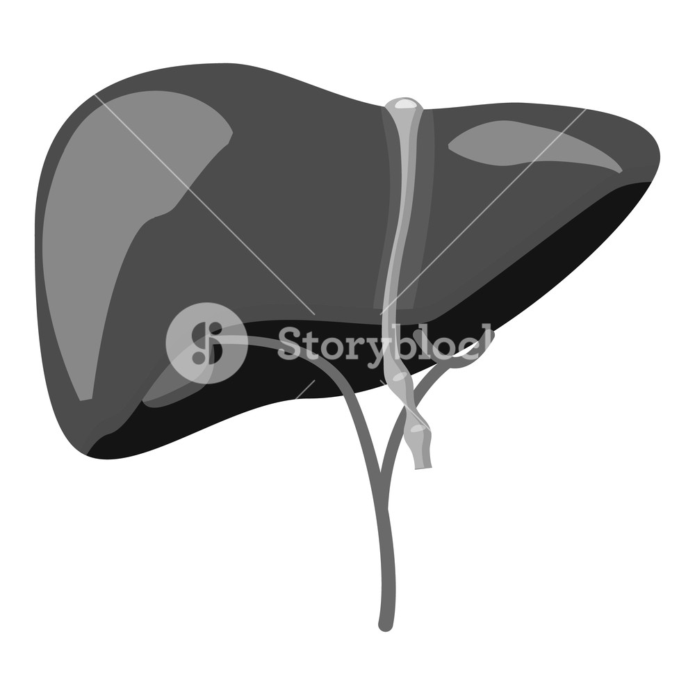 1000x1000 Human Liver Icon Gray Monochrome Illustration Of Human Liver
