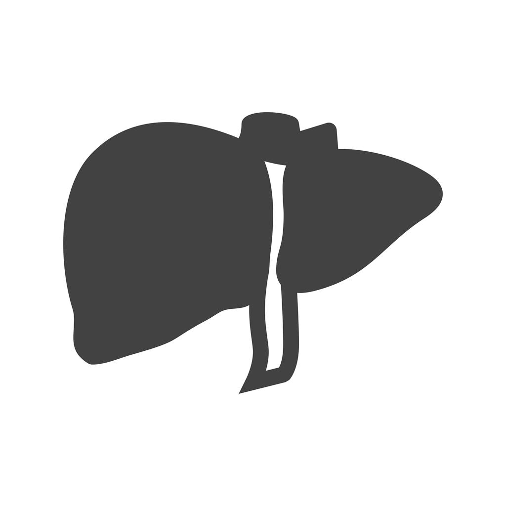 1024x1024 Liver Glyph Icon