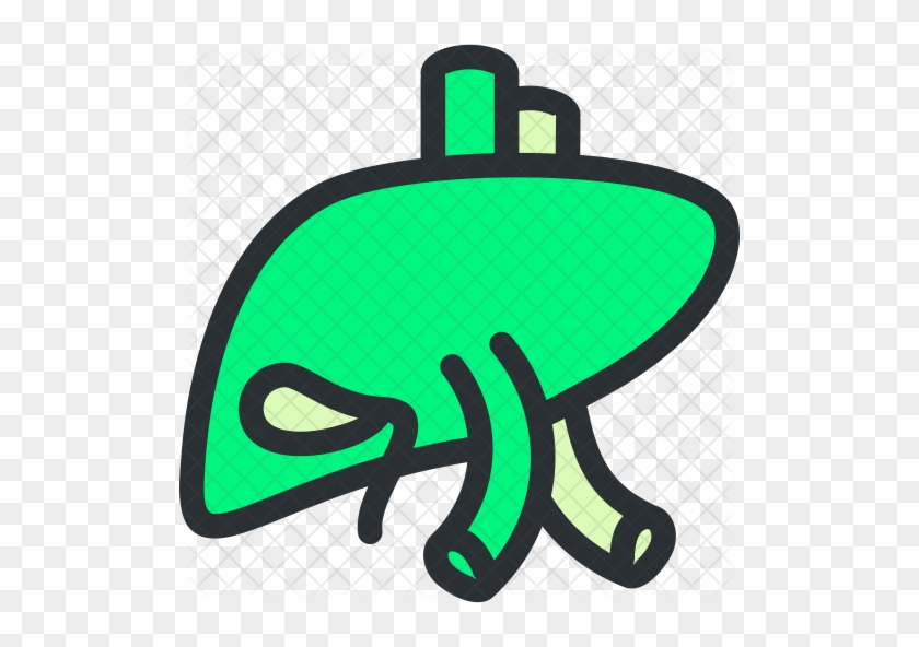 840x592 Liver Icon