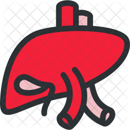 256x256 Liver Icon Of Colored Outline Style