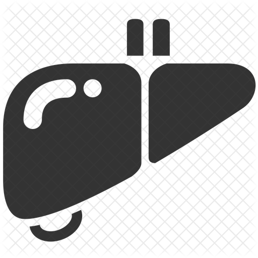 512x512 Liver Icon Of Glyph Style