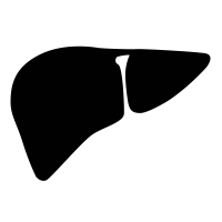 200x200 Liver Icons