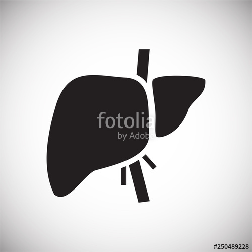 500x500 Liver Icon On White Background For Graphic And Web Design, Modern