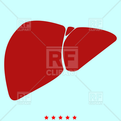 400x400 Liver Simple Icon On Cyan Background Vector Image Of Healthcare