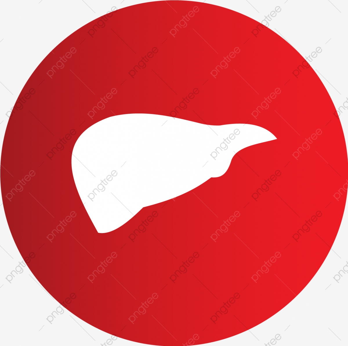 1200x1195 Vector Liver Icon, Liver Icon, Body, Body Part Png And Vector