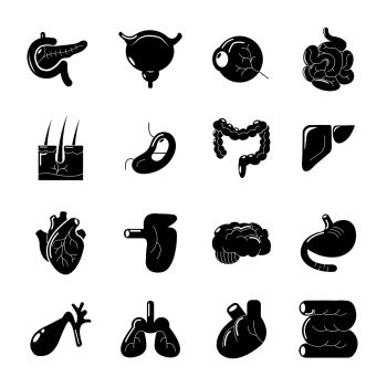 350x350 You Searched For Liver Icon Simple Illustration Of Liver Vector
