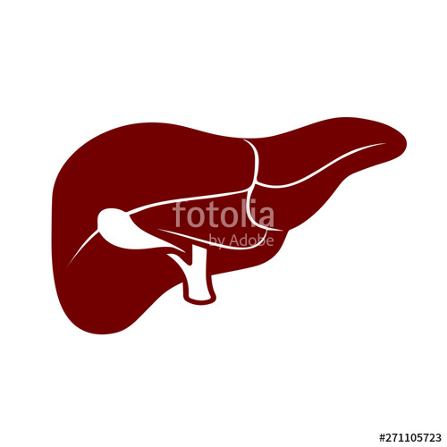 500x500 Liver Icon Isolated On White Background Stock Image And Royalty