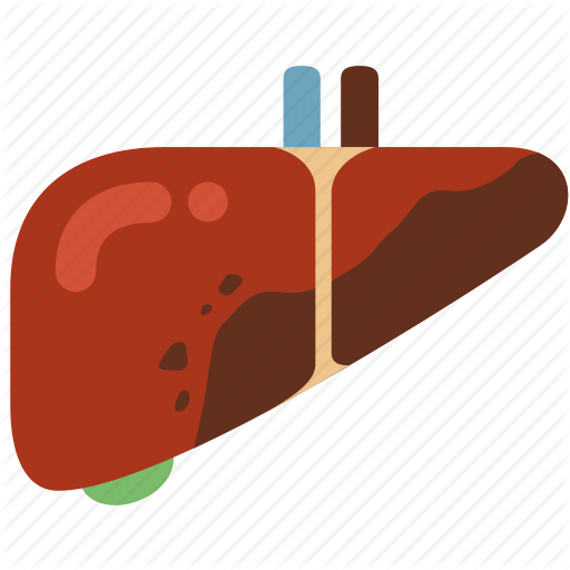 Cancer, Disease, Hepatitis, Infection, Liver, Liver Cirrhosis 512x512 Cancer, Disease, Hepatitis, Infection, Liver, Liver Cirrhosis