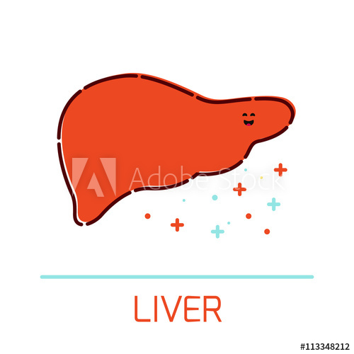 500x500 Cute Healthy Liver Icon Made In Cartoon Style Liver Cartoon