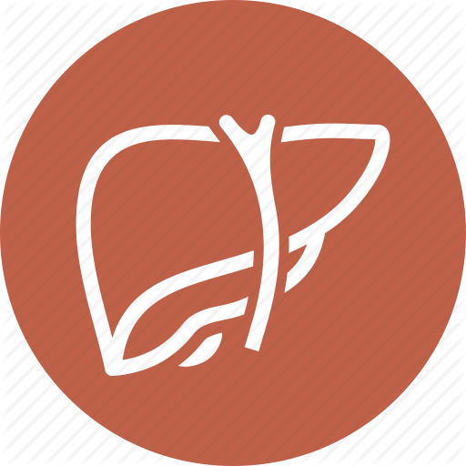 512x512 Detoxification, Hepatology, Liver Icon