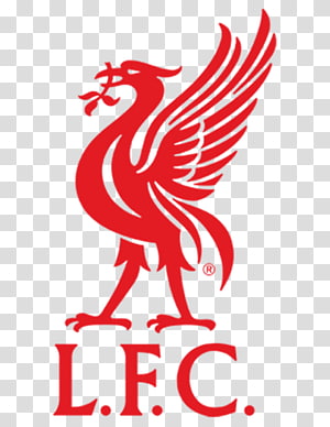 300x388 France National Football Team Fifa World Cup Liverpool F C