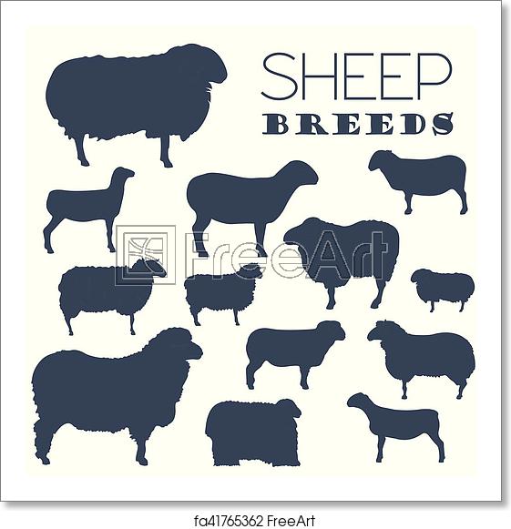 561x581 Free Art Print Of Sheep Breed Icon Set Farm Animal Flat Design