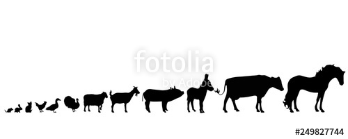 500x200 Illustration Of Set Animals Icon Vector Silhouette On White
