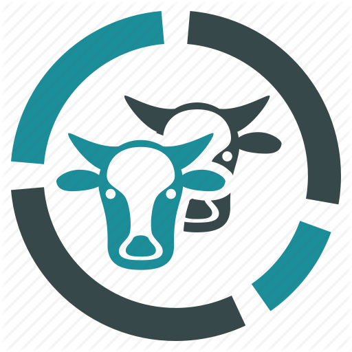 512x512 Cattle, Cow, Diagram, Farm, Infographic, Livestock Icon
